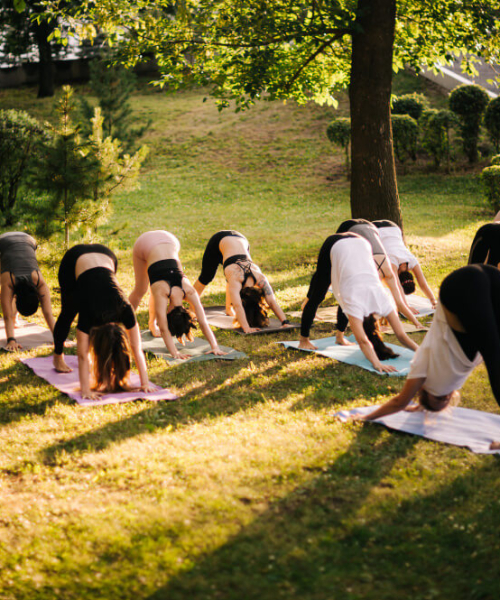 group-young-women-are-stretching-downward-facing-dog-exercise-adho-mukha-svanasana-pose-group-people-are-practicing-yoga-lesson-city-park-sunny-dawn-guidance-instructor-3